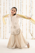 3 Piece Embroidered Organza Suit